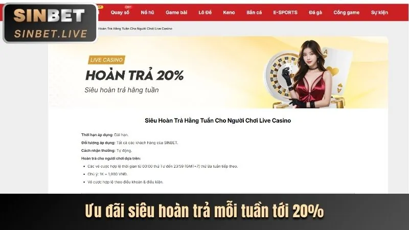 Hoàn trả hàng ngày e88 casino